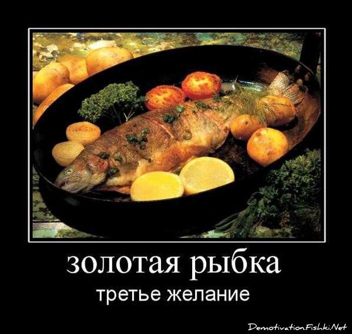 Смешной демотиватор от zubrilov за 13.04.2011 №74056