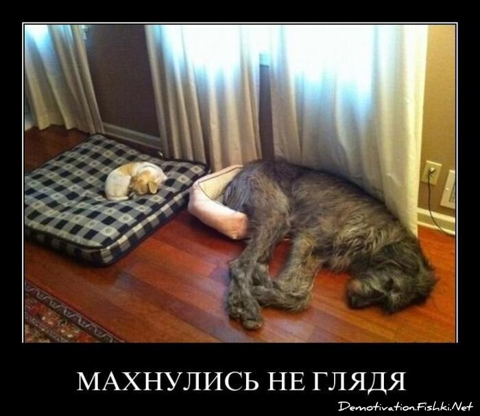 Смешной демотиватор от zubrilov за 13.04.2011 №74065