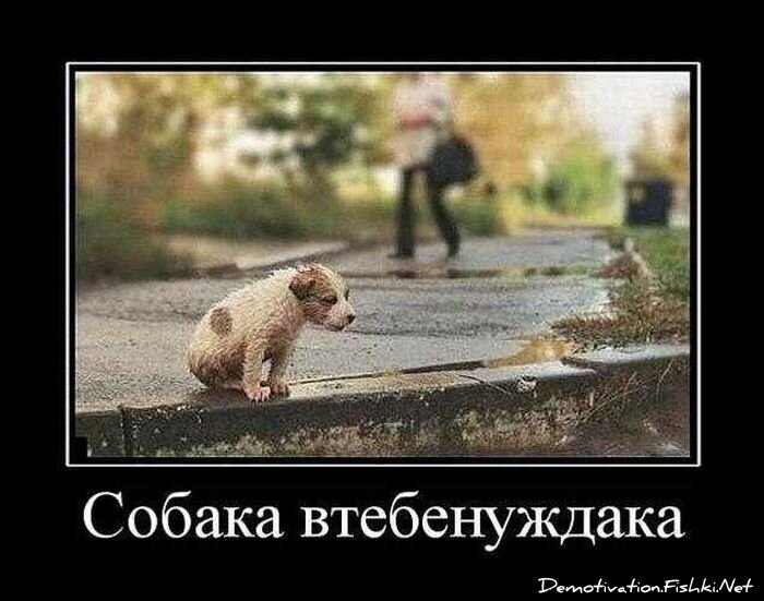 Смешной демотиватор от zubrilov за 13.04.2011 №74066