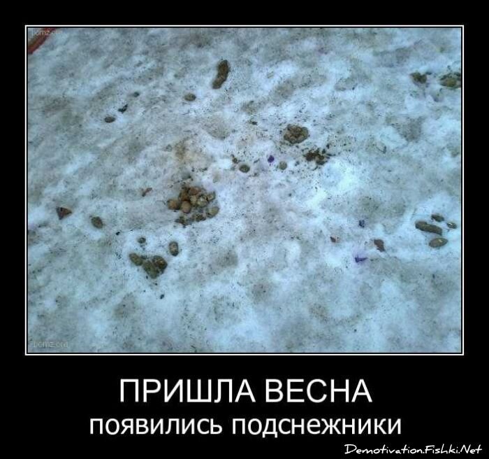 Смешной демотиватор от zubrilov за 13.04.2011 №74083