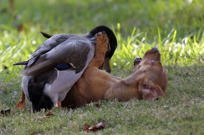 Прикольные фото и картинки от zubrilov за 13.04.2011 №74117