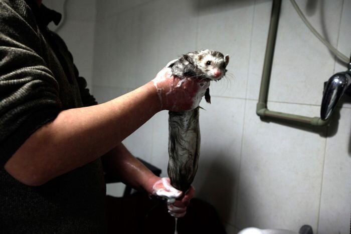 Прикольные фото и картинки от zubrilov за 13.04.2011 №74128