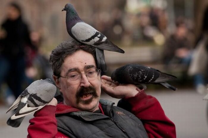 Прикольные фото и картинки от zubrilov за 13.04.2011 №74142