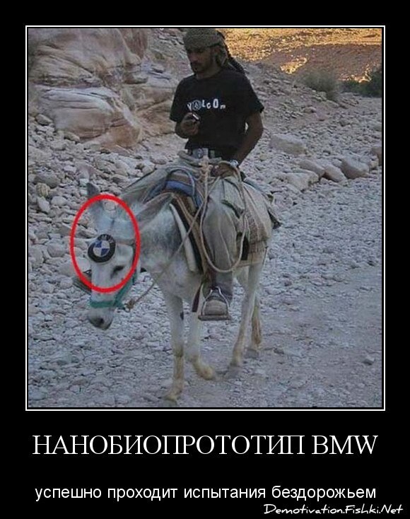 Нанобиопрототип BMW