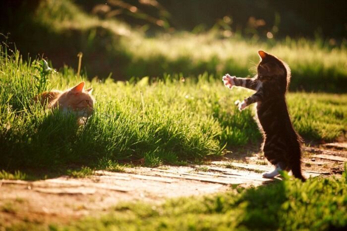 Прикольные фото и картинки от zubrilov за 14.04.2011 №74201