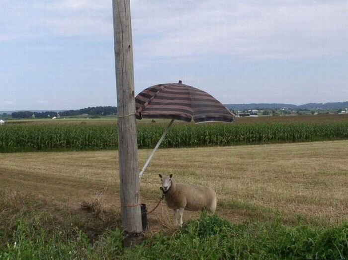 Прикольные фото и картинки от zubrilov за 14.04.2011 №74211