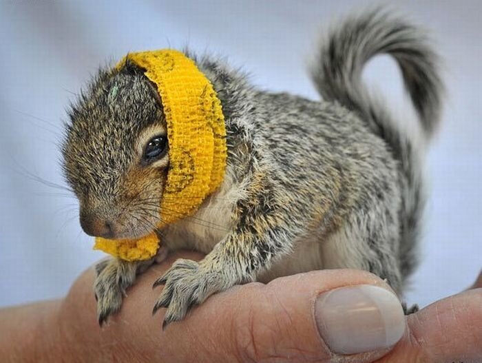 Прикольные фото и картинки от zubrilov за 14.04.2011 №74214