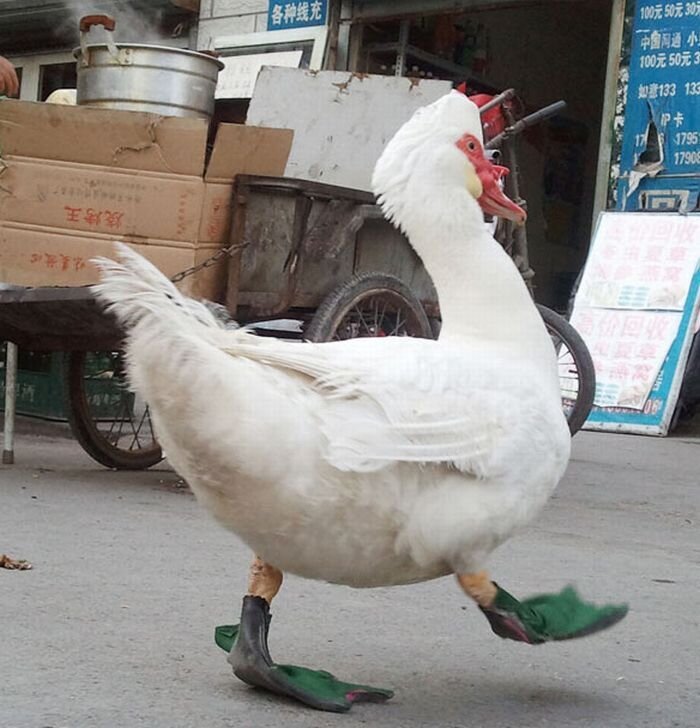 Прикольные фото и картинки от zubrilov за 14.04.2011 №74215