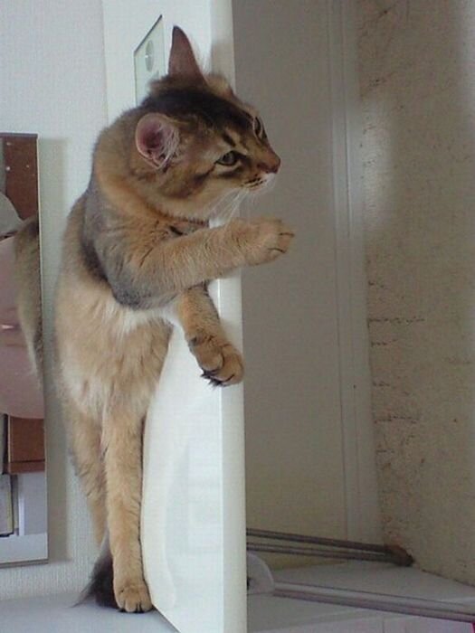 Прикольные фото и картинки от zubrilov за 14.04.2011 №74222