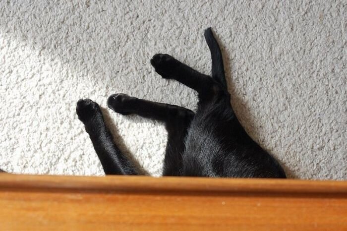 Прикольные фото и картинки от zubrilov за 14.04.2011 №74240