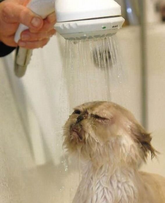 Прикольные фото и картинки от zubrilov за 15.04.2011 №74296