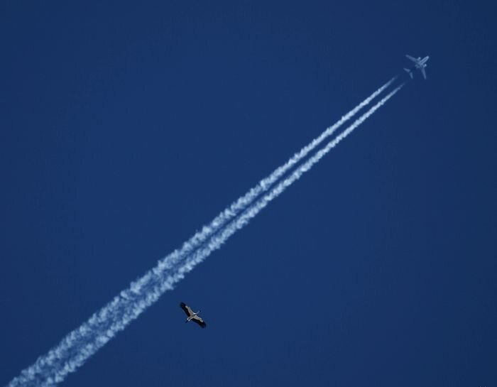 Прикольные фото и картинки от zubrilov за 15.04.2011 №74317