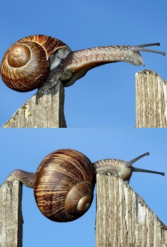 Прикольные фото и картинки от zubrilov за 15.04.2011 №74320