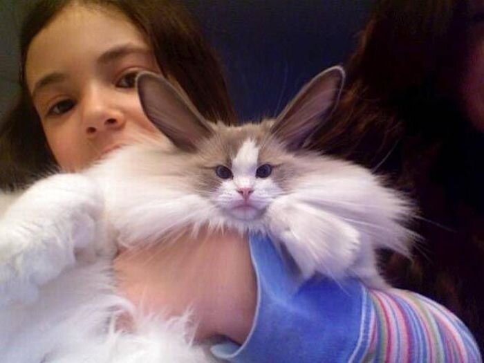 Прикольные фото и картинки от zubrilov за 15.04.2011 №74322