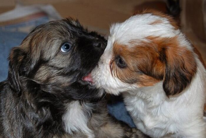 Прикольные фото и картинки от zubrilov за 15.04.2011 №74326