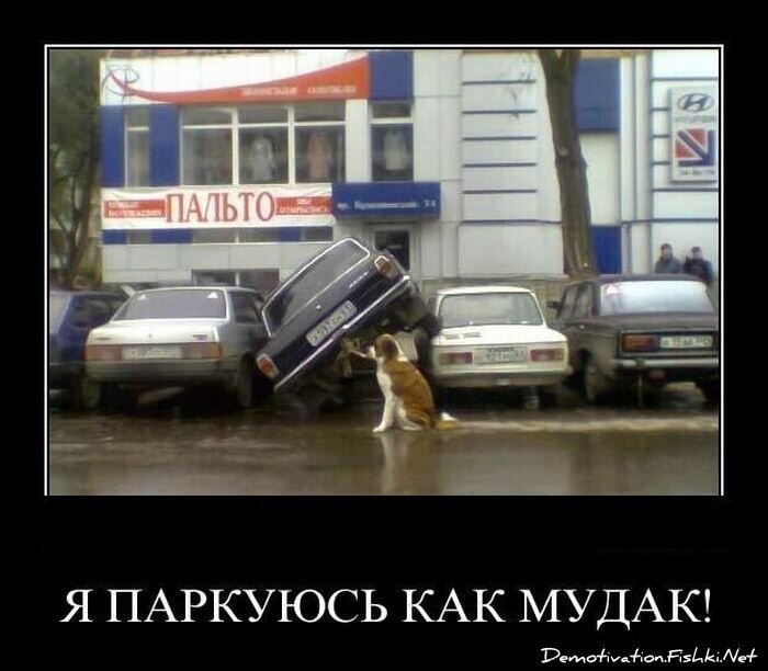 Смешной демотиватор от zubrilov за 15.04.2011 №74382