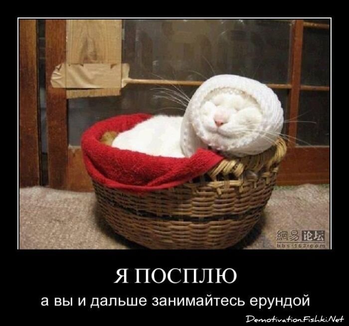Смешной демотиватор от zubrilov за 15.04.2011 №74402