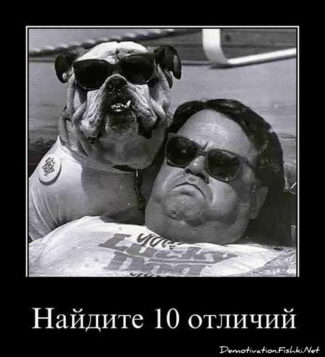 Смешной демотиватор от zubrilov за 15.04.2011 №74403