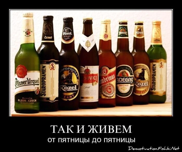 Смешной демотиватор от zubrilov за 15.04.2011 №74413