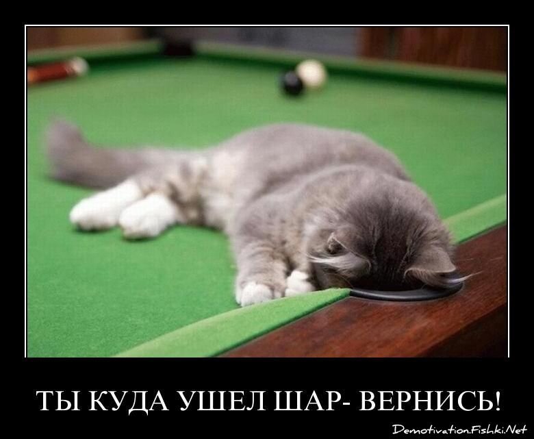 Смешной демотиватор от zubrilov за 15.04.2011 №74418