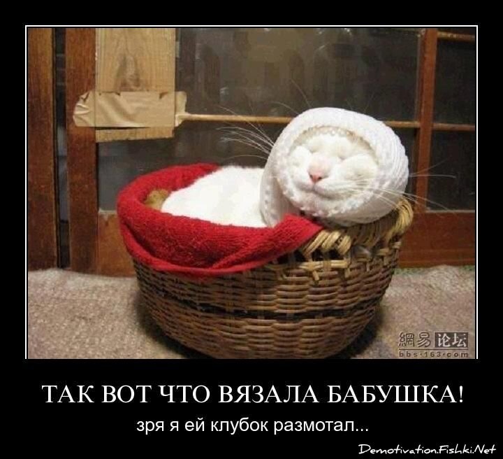 Смешной демотиватор от zubrilov за 15.04.2011 №74423