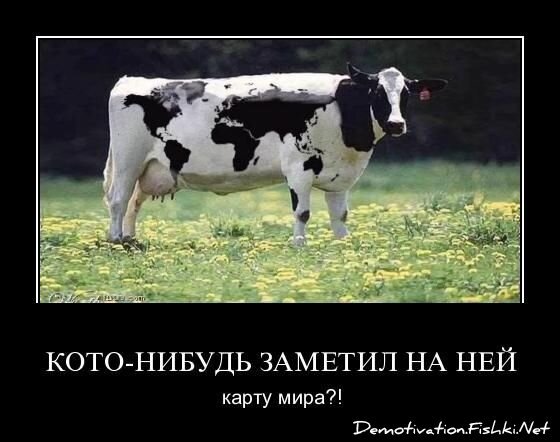Смешной демотиватор от zubrilov за 15.04.2011 №74432