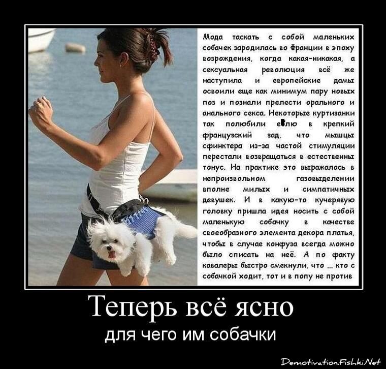 Смешной демотиватор от zubrilov за 15.04.2011 №74433