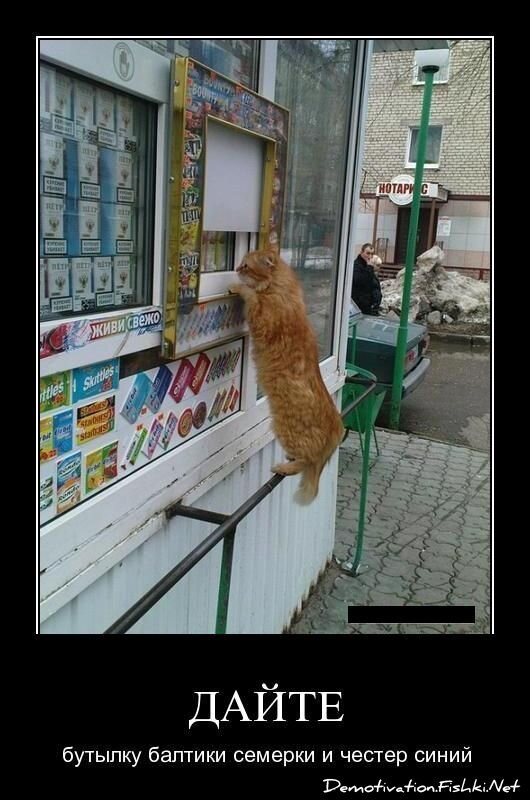 Смешной демотиватор от zubrilov за 15.04.2011 №74438