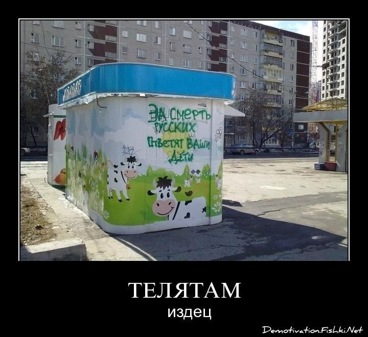 Смешной демотиватор от zubrilov за 15.04.2011 №74447