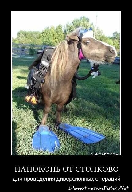Смешной демотиватор от zubrilov за 15.04.2011 №74448