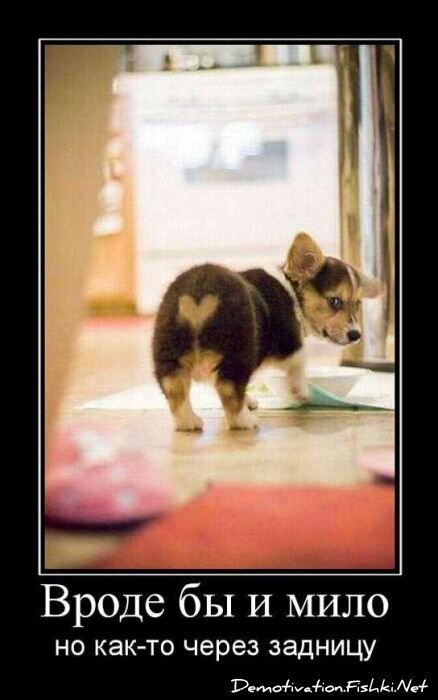 Смешной демотиватор от zubrilov за 20.04.2011 №74767