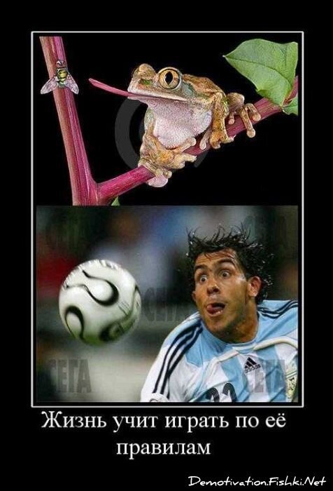 Смешной демотиватор от zubrilov за 20.04.2011 №74768