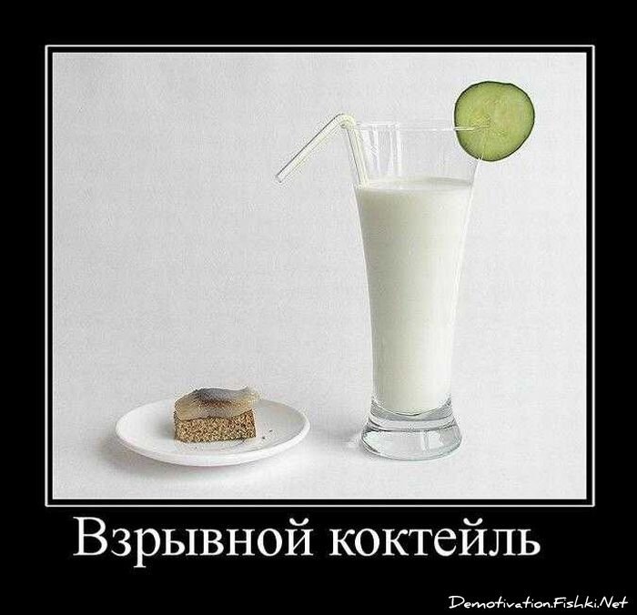 Смешной демотиватор от zubrilov за 20.04.2011 №74771
