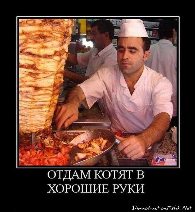 Смешной демотиватор от zubrilov за 20.04.2011 №74772