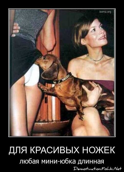 Демотиватор