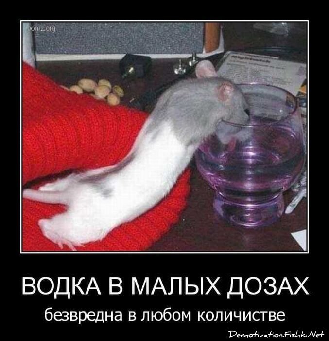 Смешной демотиватор от zubrilov за 20.04.2011 №74804