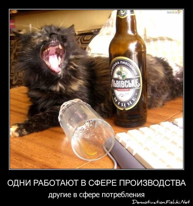 Демотиватор