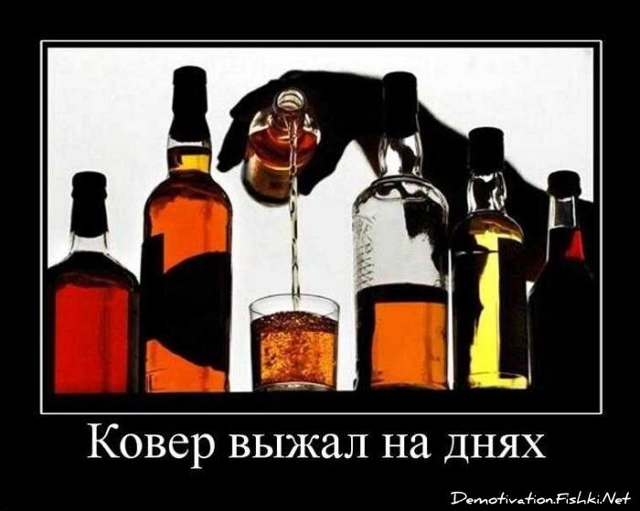 Смешной демотиватор от zubrilov за 20.04.2011 №74809