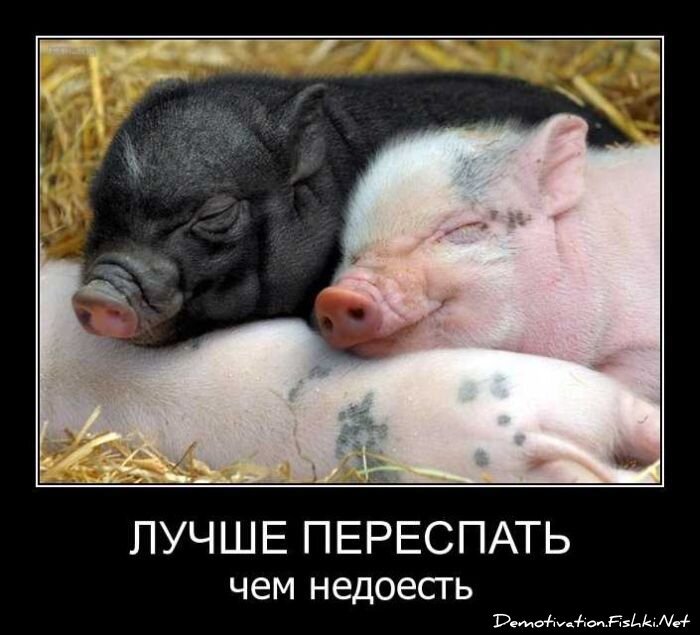 Смешной демотиватор от zubrilov за 20.04.2011 №74814