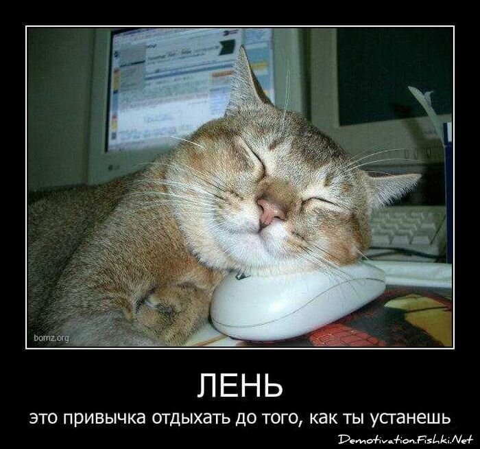 Смешной демотиватор от zubrilov за 20.04.2011 №74818