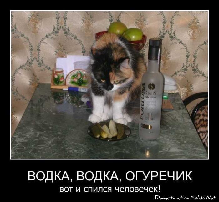 Смешной демотиватор от zubrilov за 20.04.2011 №74830