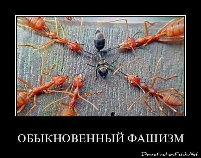 Смешной демотиватор от zubrilov за 20.04.2011 №74835