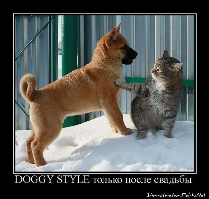 Смешной демотиватор от zubrilov за 22.04.2011 №75068