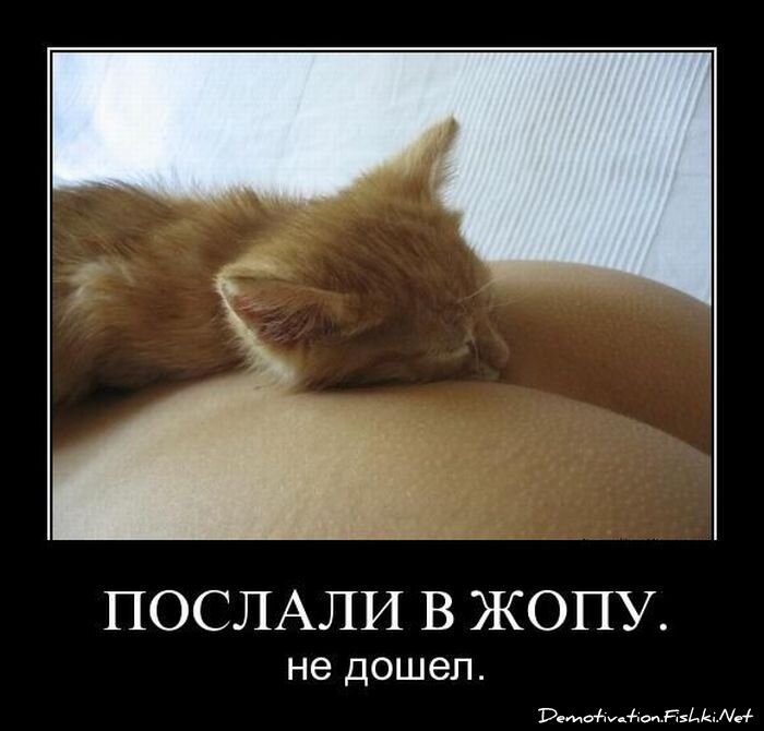 Смешной демотиватор от zubrilov за 22.04.2011 №75091