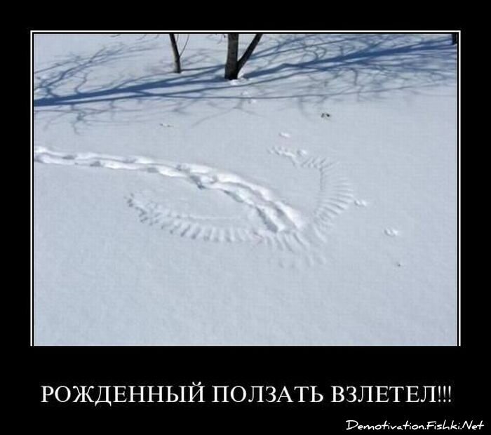 Смешной демотиватор от zubrilov за 22.04.2011 №75113