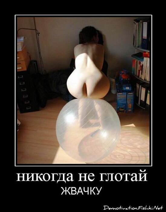 Смешной демотиватор от zubrilov за 27.04.2011 №75417