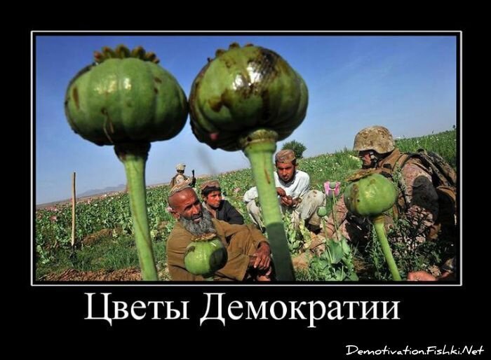 Смешной демотиватор от zubrilov за 27.04.2011 №75419