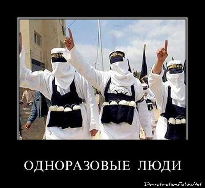 Смешной демотиватор от zubrilov за 27.04.2011 №75434