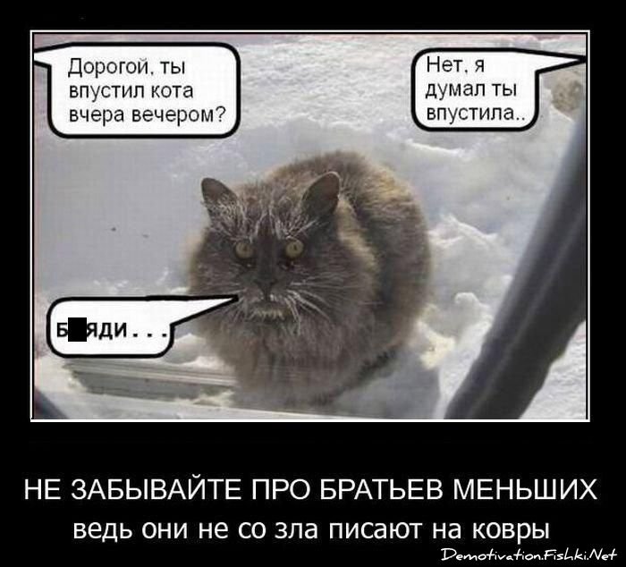 Демотиватор