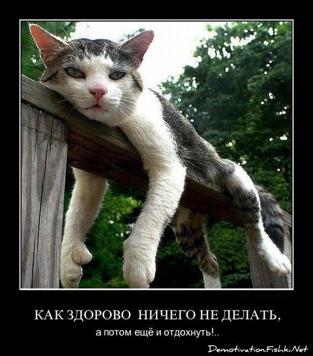 Смешной демотиватор от zubrilov за 27.04.2011 №75448